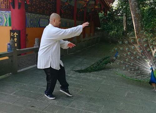 雷雷最新爆料,揭秘娱乐圈惊人内幕